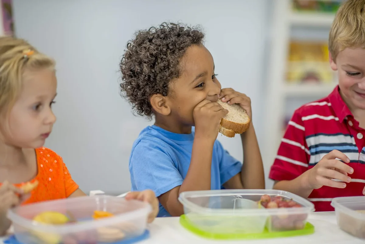 Nutrition Influences