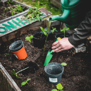 Gardening With Children: A Hands On Approach To Nature And Learning - 9005